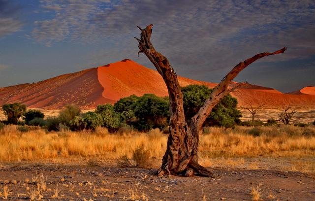 074 Sossusvlei.JPG